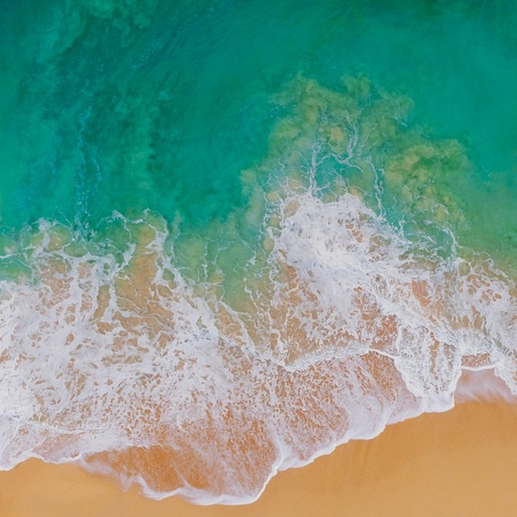 Meet your Posher, Maggie - Picture 1 of 1